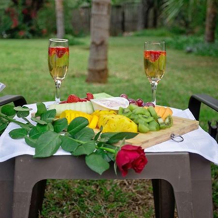 Three Oaks And An Aloe Boutique Hotel Hartbeespoort Exteriér fotografie